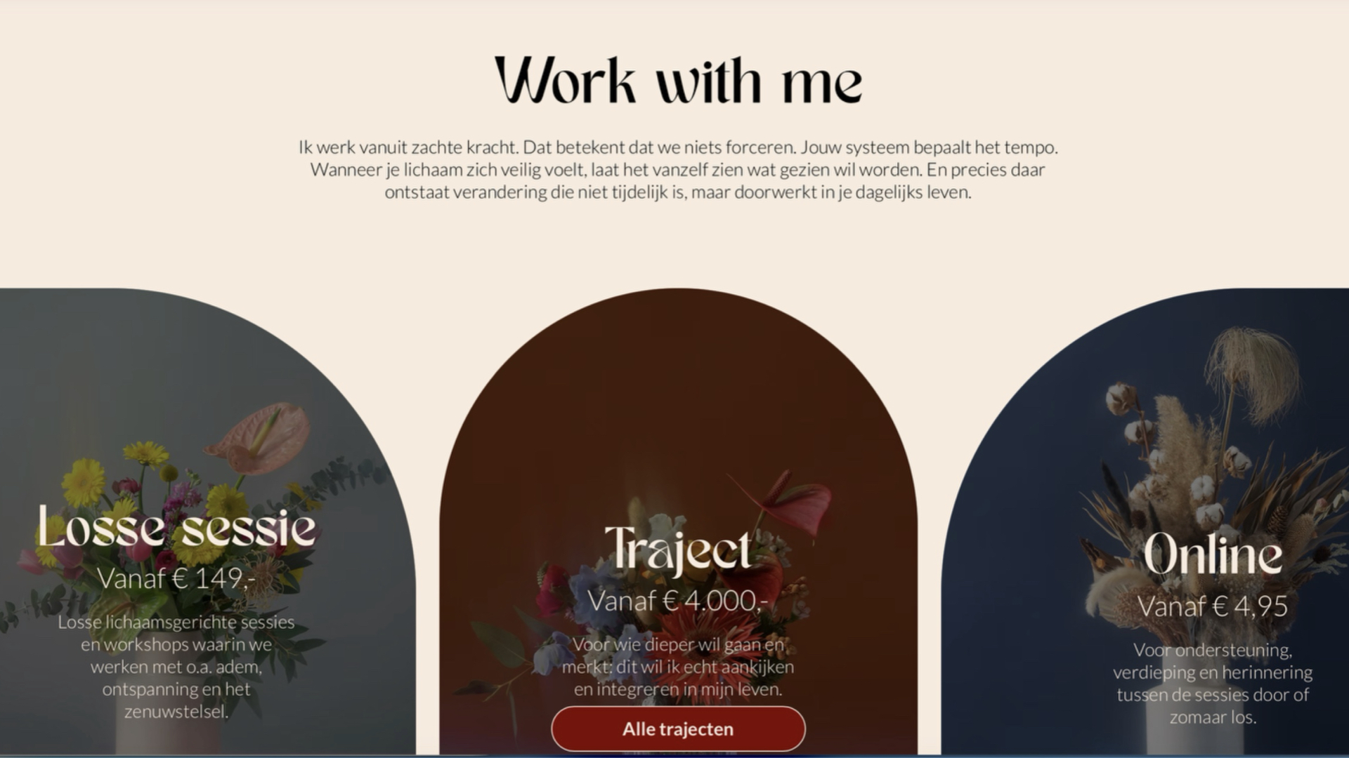 Screenshot van een websitepagina met aanbod en trajecten