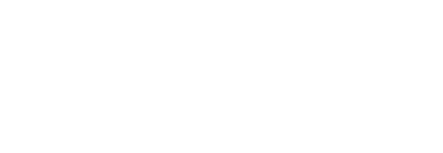 VLM logo